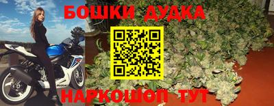 амф Кандалакша