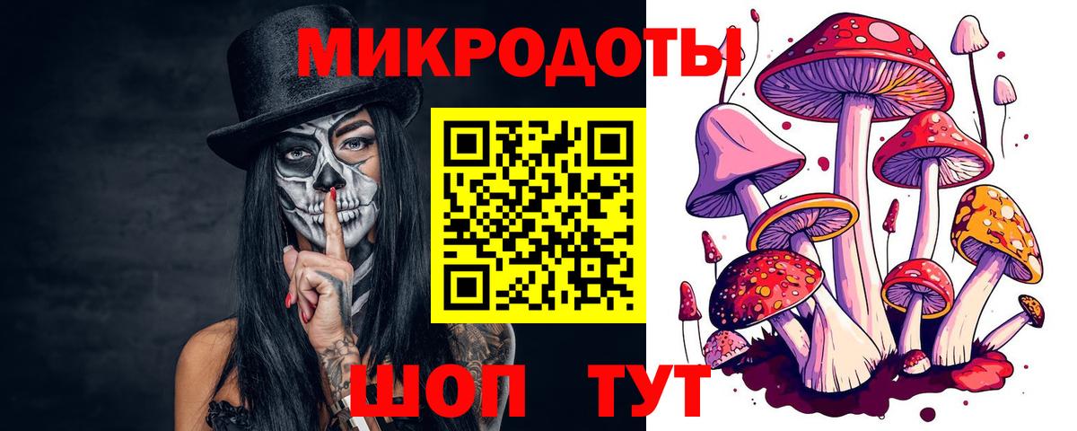 Кызыл  Псилоцибиновые грибы GOLDEN TEACHER  Вход с VPN 